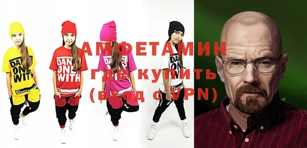индика Беломорск