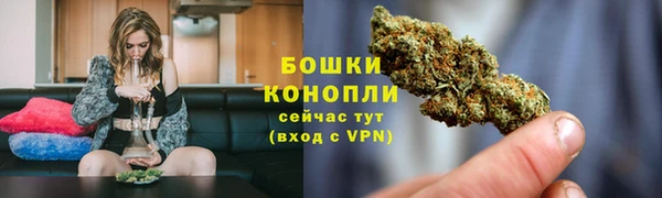 гидра Белокуриха