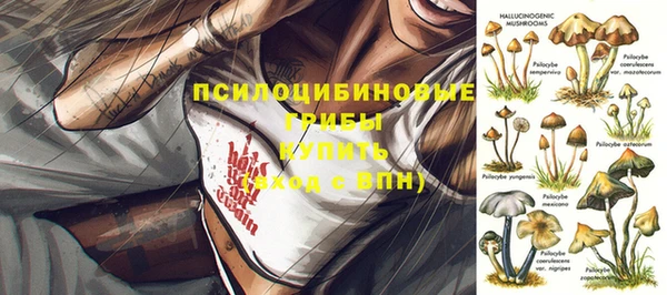 крисы Баксан